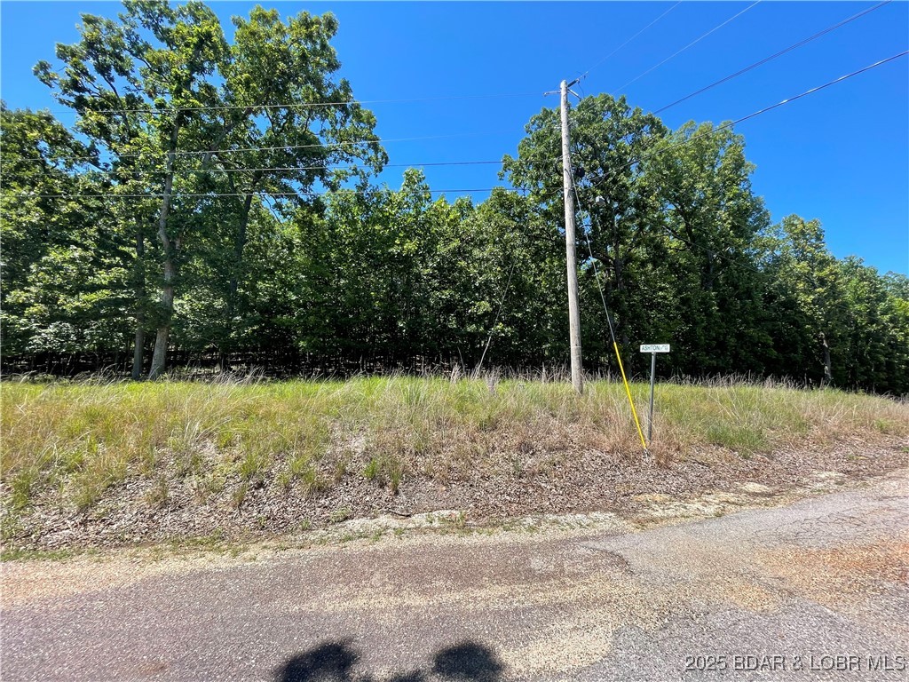 Camdenton, Missouri 65020, United States, ,Land,Active,173899