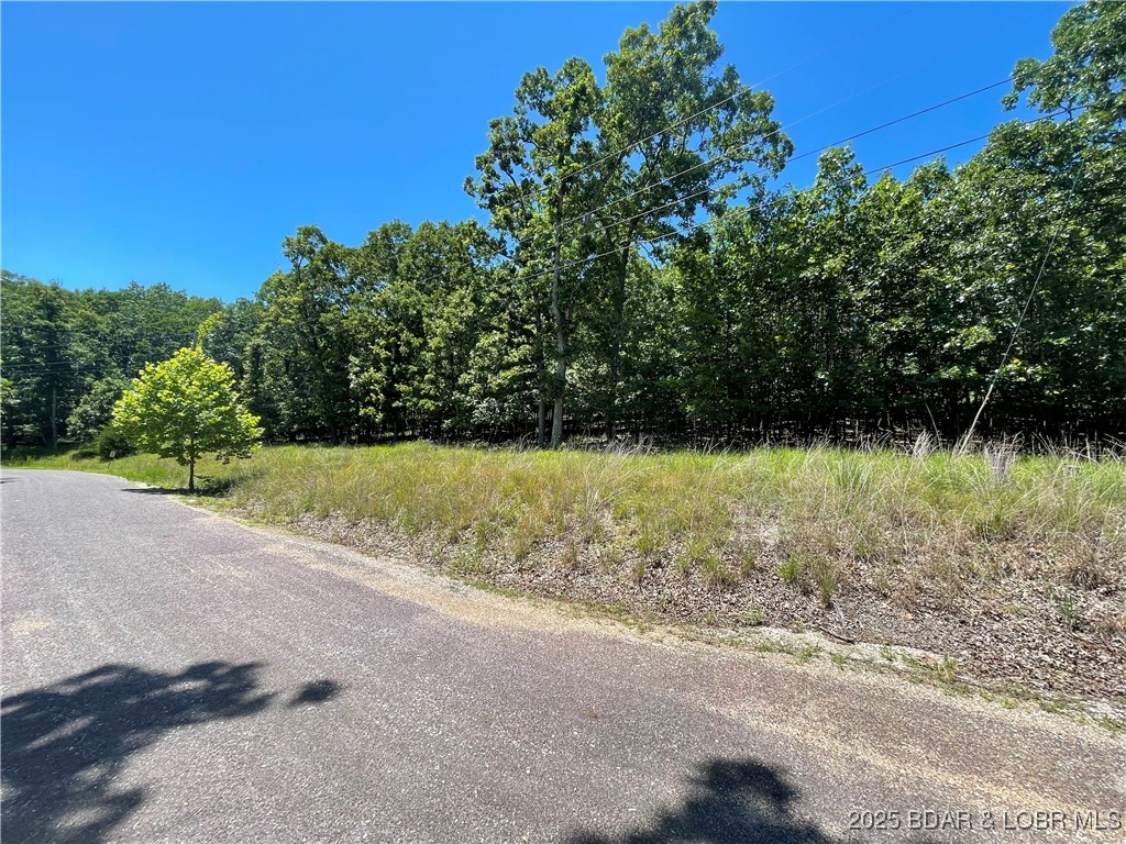 Camdenton, Missouri 65020, United States, ,Land,Active,173899