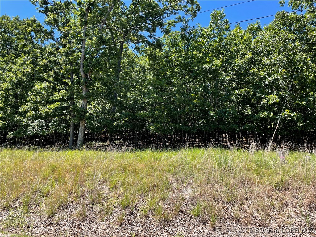 Camdenton, Missouri 65020, United States, ,Land,Active,173899