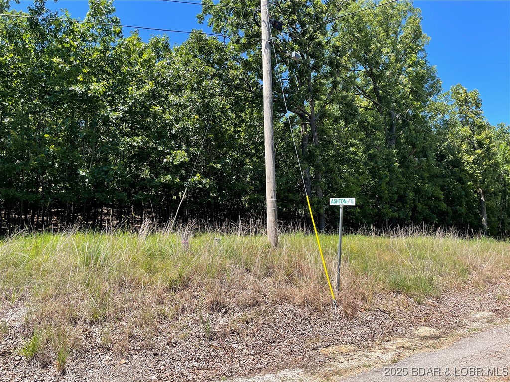 Camdenton, Missouri 65020, United States, ,Land,Active,173899