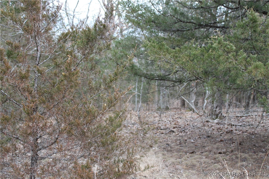 Forbes Lake of the Ozarks - Land