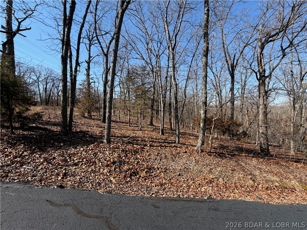 Champions Run - Land