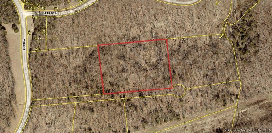 Don't miss this rare opportunity to own a nice, gentle 3 acre tract in the hearth of Shawnee Bend. Utilities to site are water, electric, fiber, and natural gas.
