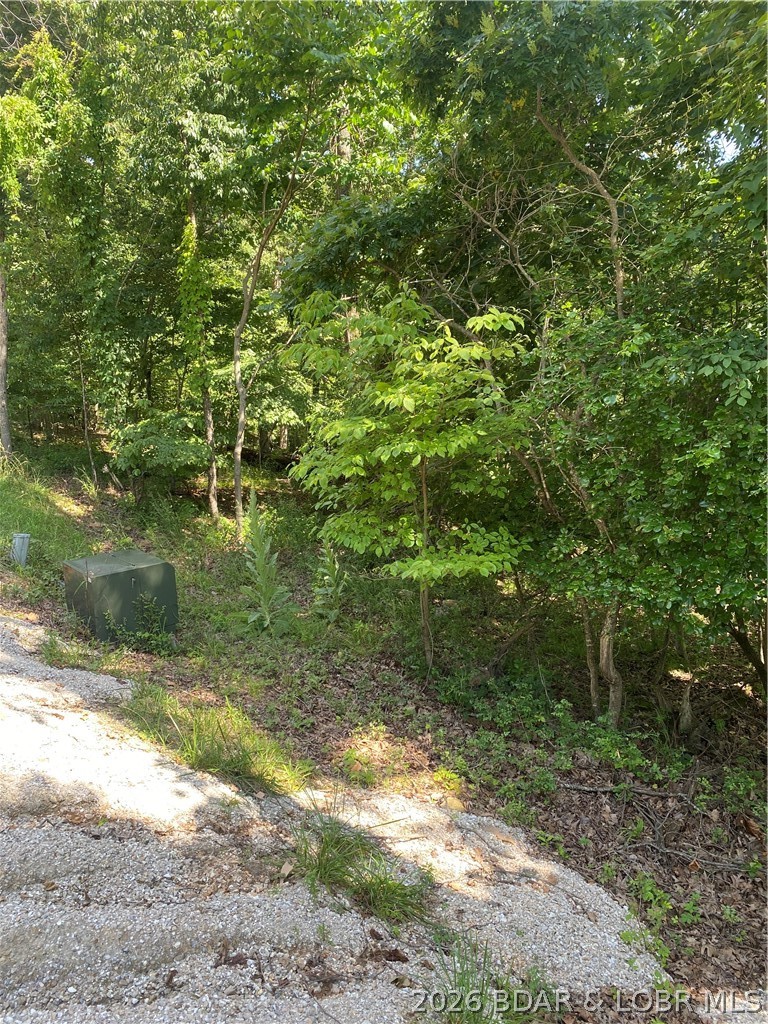 Cornett Cove No. 1 - Land