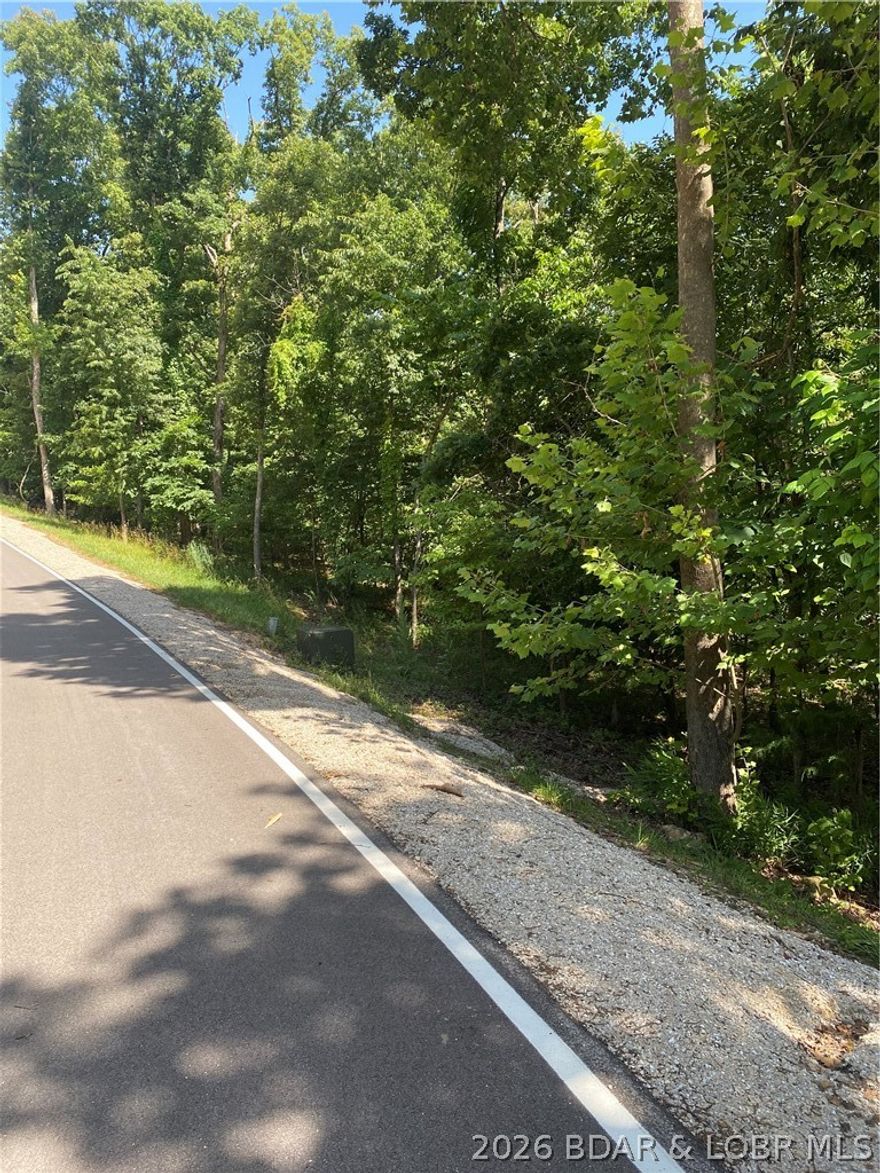 Welcome to Lot 125 Veronica Lane, a tucked-away gem in Lake Ozark that offers privacy, potential, and peaceful surroundings. Positioned just off the interior tree-lined lake, this lot captures the quiet beauty of the area without being directly on the water-- reflected in its smart pricing. With neighborhood homes comfortably spaced, you'll enjoy a sense of seclusion while still being part of a thriving community. Owners also gain access to all the sought-after Four Seasons amenities, including pools, lake access, fitness center, and more. Whether you're ready to build now or planning for the future, this lot blends location, value, and lifestyle into one unique opportunity.
