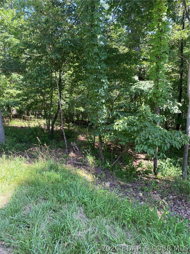 Cornett Cove No. 1 - Land