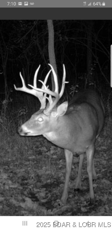 Copperstone Estates - Land