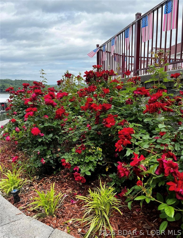 Clearwater Condominiums - Residential