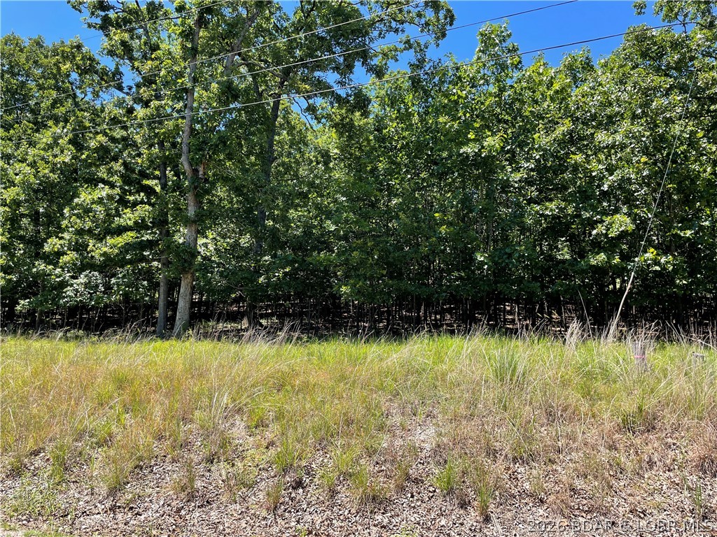 Camelot Estates - Land