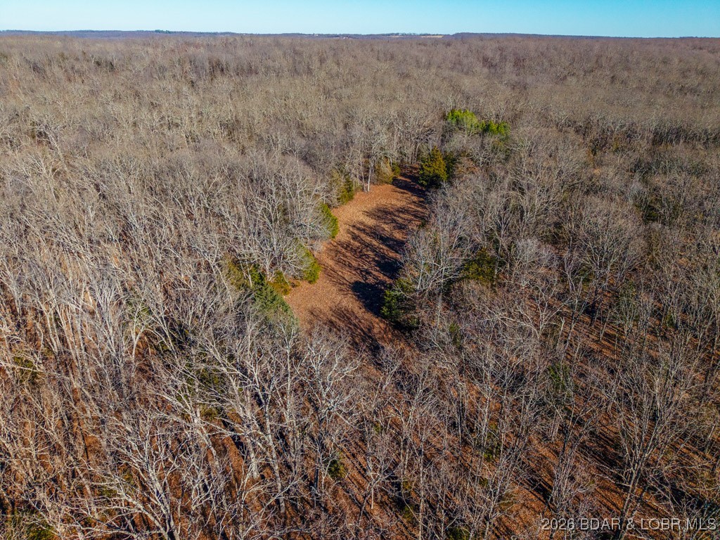 Out of Area - Residential