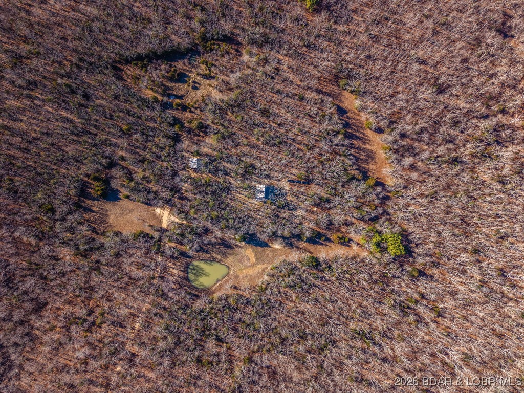 Out of Area - Residential