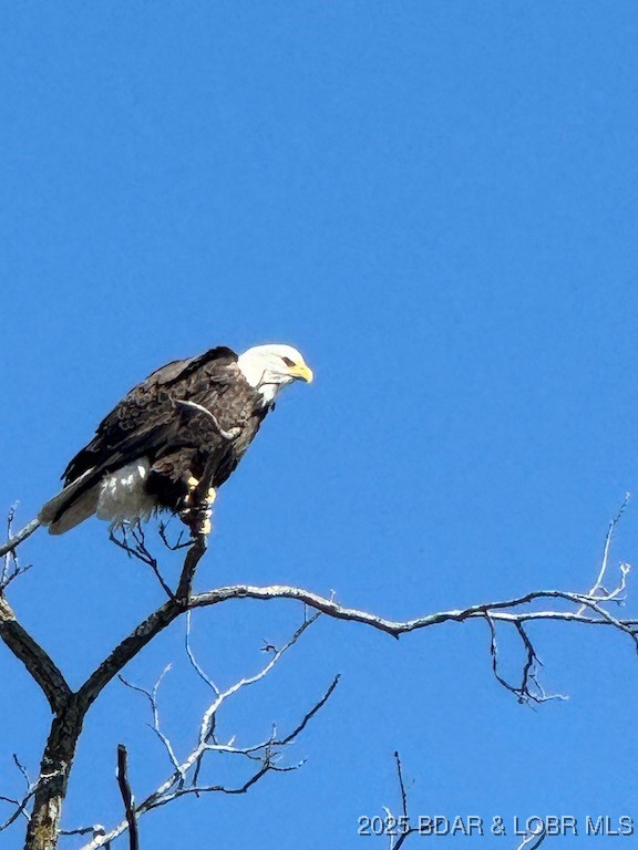 Kaiser, Missouri 65047, United States, 4 Bedrooms Bedrooms, ,3 BathroomsBathrooms,Residential,Active,86987