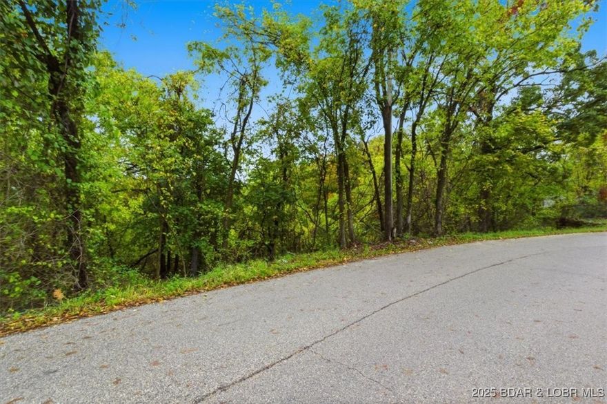 Incredible Investment & Building Opportunity in the Heart of Camdenton! CAMDENTON IS GROWING NOW IS THE TIME! Discover 2.9 acres of prime land already divided into FIVE BUILDABLE LOTS—perfect for a small development or individual custom homes. The location couldn’t be better—just a short walk to Camdenton Schools and surrounded by a lively, family-friendly community that comes alive during parades and holiday festivities. Each lot includes an existing easement for convenient access directly to Hickory Street, making future construction simple and efficient. Don’t miss this rare opportunity to create something special in one of Camdenton’s most desirable neighborhoods!