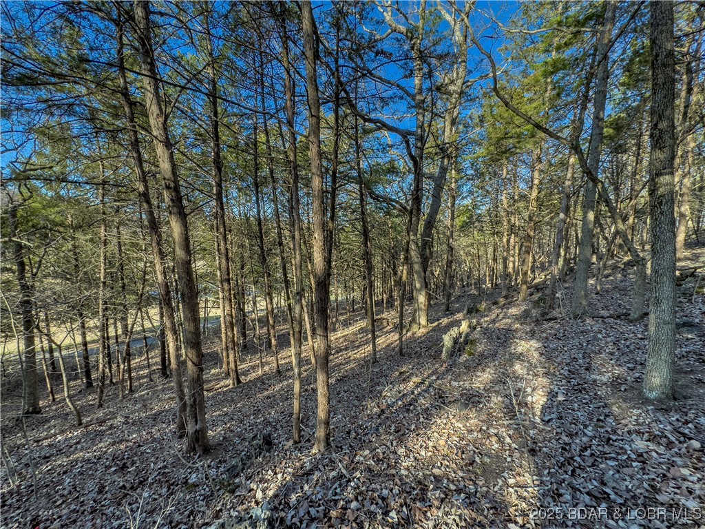 Old Kinderhook - Land