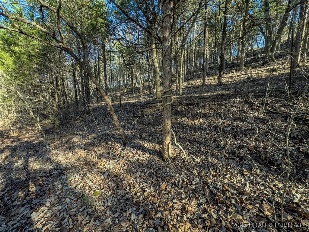 Old Kinderhook - Land