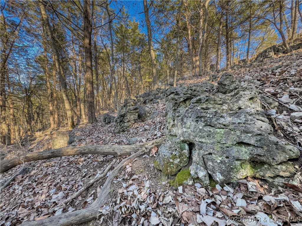 Old Kinderhook - Land