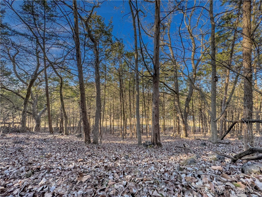 Old Kinderhook - Land