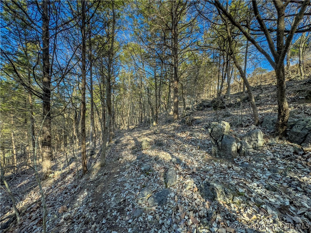 Old Kinderhook - Land