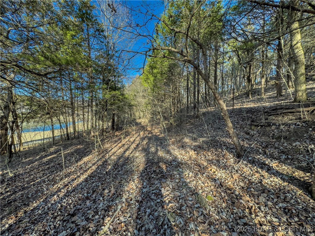 Old Kinderhook - Land