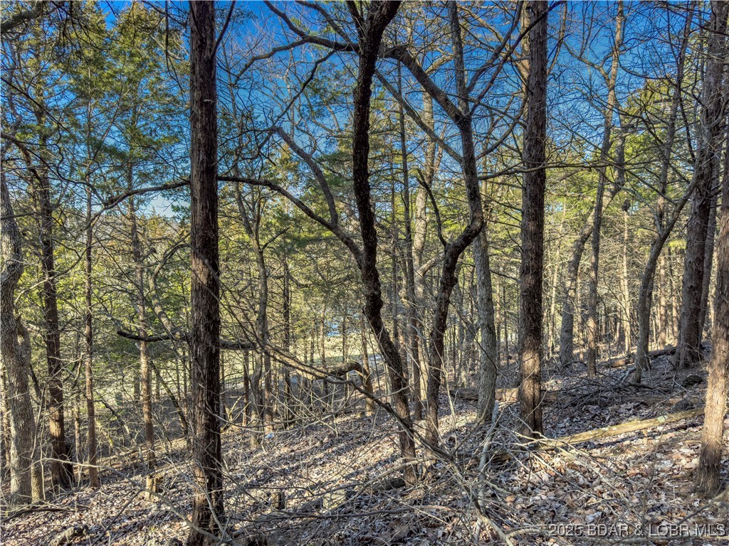 Old Kinderhook - Land