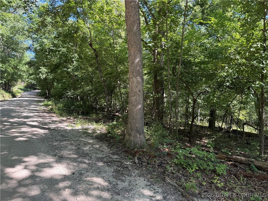 3 Acres – Build Your Dream Home in Camdenton, MO!  Nestled in the heart of a beautiful resort area, this 3-acre parcel offers the perfect opportunity to build your custom single-family home. Enjoy privacy, peaceful surroundings, and convenient access to local favorites like The Cave Restaurant, Woods Grocery Store, and Tres Hombres Mexican restaurant. Located just minutes from the Lake of the Ozarks and all that Camdenton has to offer—this is a rare find for nature lovers, vacationers, or year-round living. Utilities nearby. Don’t miss your chance to own land in this desirable location! Need additional acreage? Lot 4, an additional 3-acre tract is available for $30k.  It adjoins this property...why settle for 3 when you can own 6? Survey was recently finished and recorded as Lot 2 & Lot 4 BootRock Woods Subdivision.