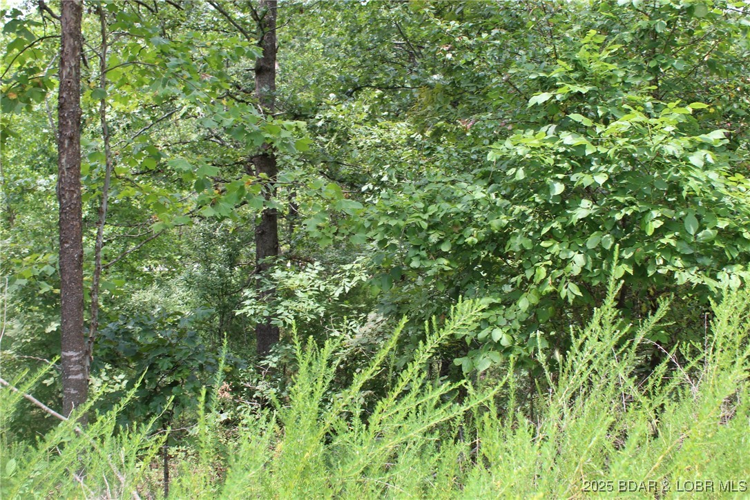 Woodhaven Estates - Land