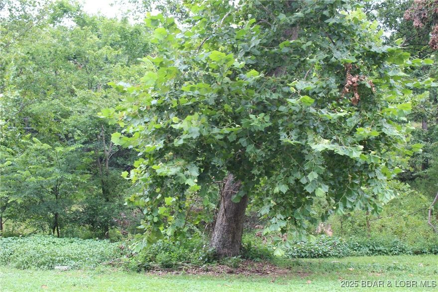 Build Your Dream Home in Woodhaven Estates!  Don’t miss this beautiful lot in the desirable Woodhaven Estates subdivision—just minutes from grocery stores, restaurants, and all the conveniences of town. This spacious property offers a gentle slope, making it ideal for a variety of home designs, including a walkout basement. Enjoy added privacy with no neighbors on one side, thanks to the powerline easement that runs adjacent to the property.  Easy hookups are available for city sewer, water, and electric, making the building process simple and convenient. With its prime location and unique setting, this lot is the perfect blend of peaceful neighborhood living and easy access to everything you need.