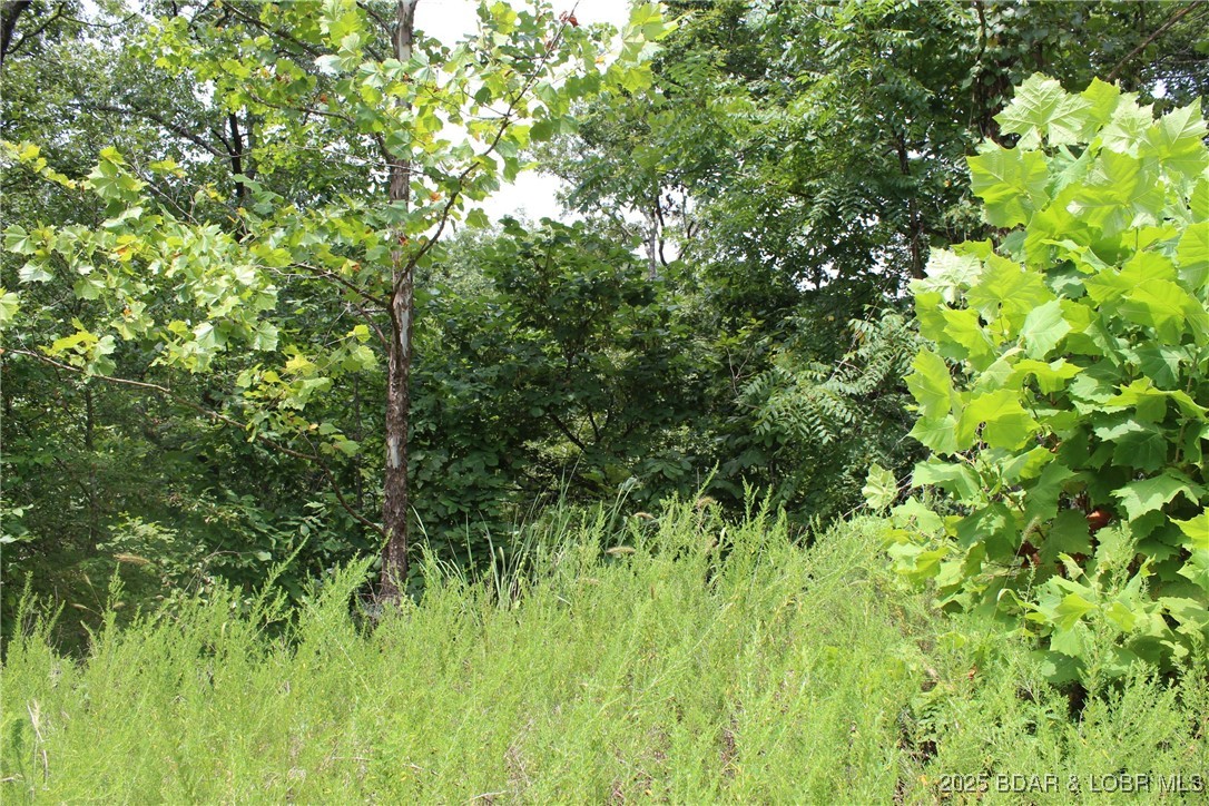 Woodhaven Estates - Land