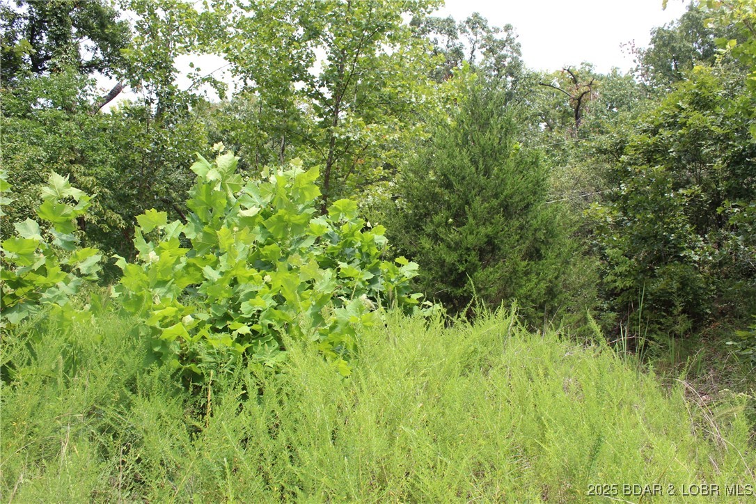 Woodhaven Estates - Land