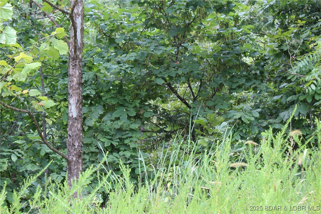 Woodhaven Estates - Land