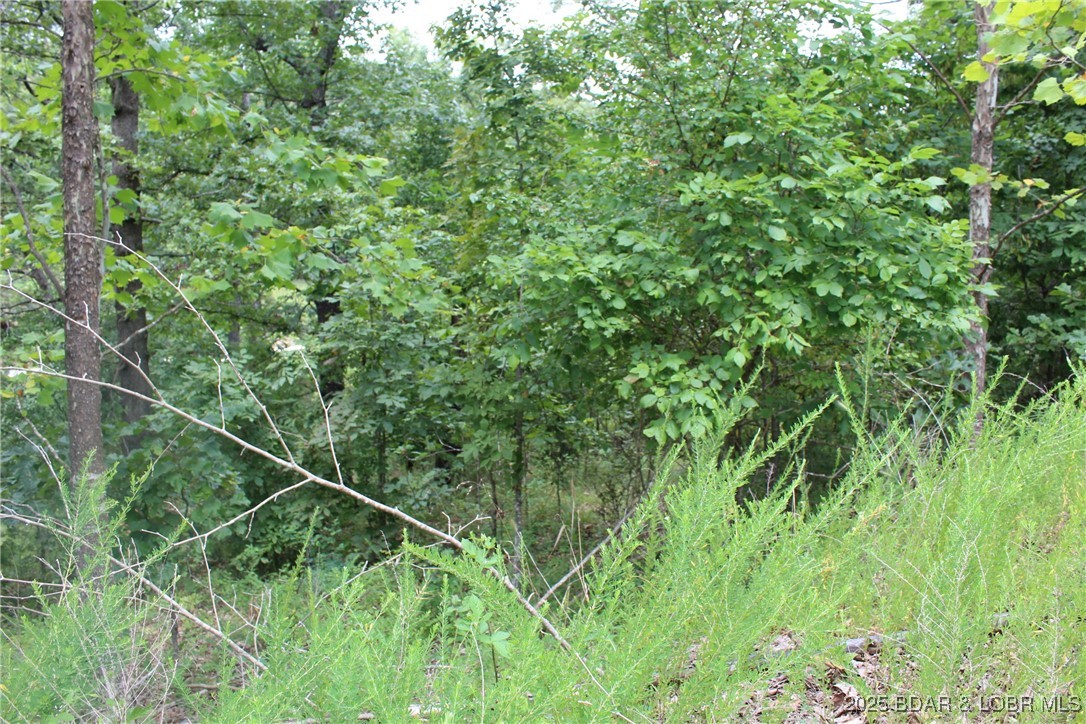 Woodhaven Estates - Land