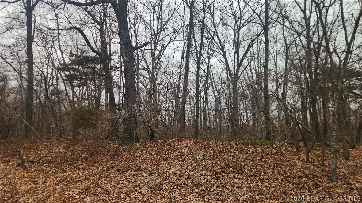 Fanny Jarvis Acres - Land