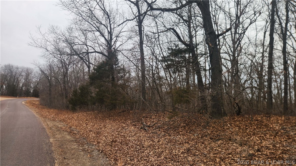 Fanny Jarvis Acres - Land