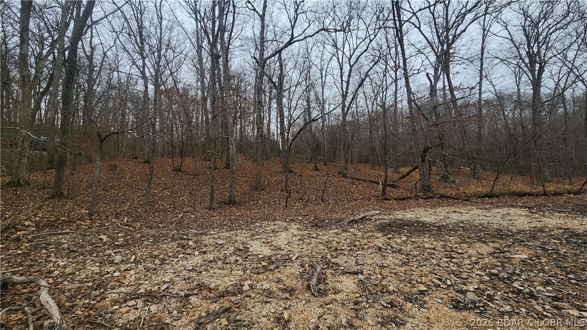 Fanny Jarvis Acres - Land