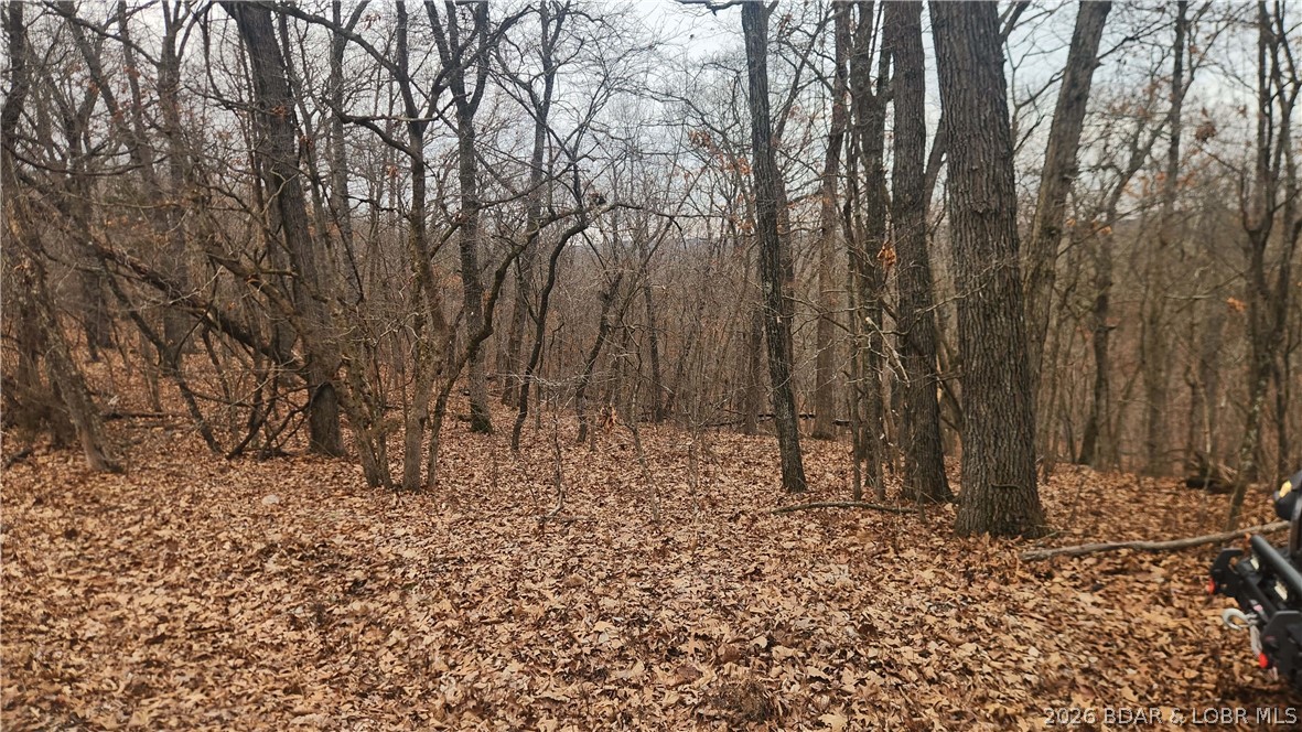 Fanny Jarvis Acres - Land