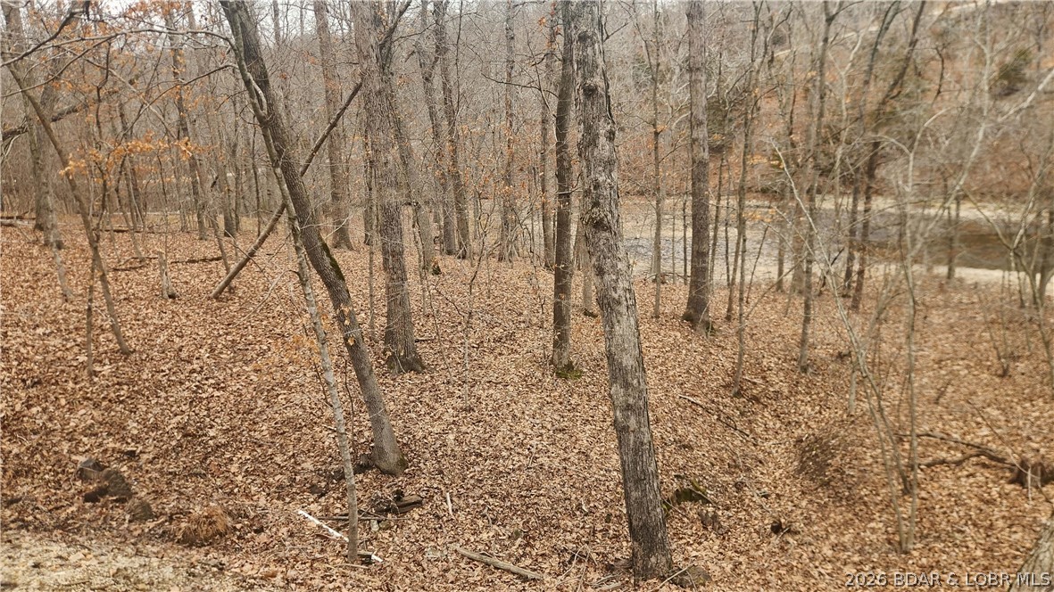 Fanny Jarvis Acres - Land