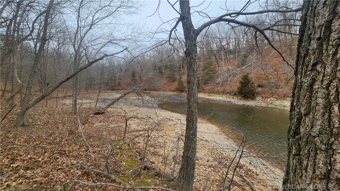 Fanny Jarvis Acres - Land