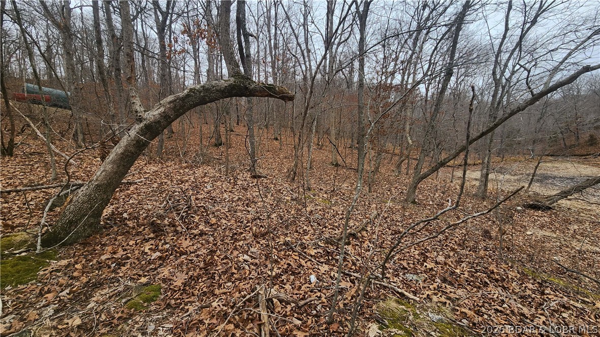 Fanny Jarvis Acres - Land