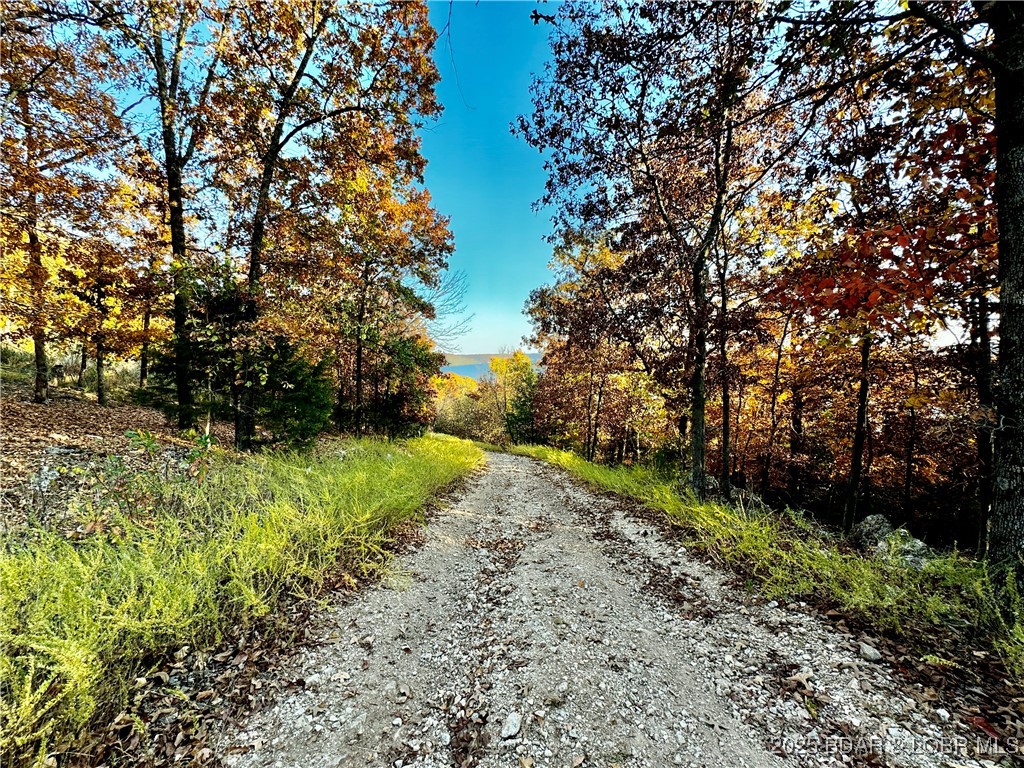 Lake Horizons - Land