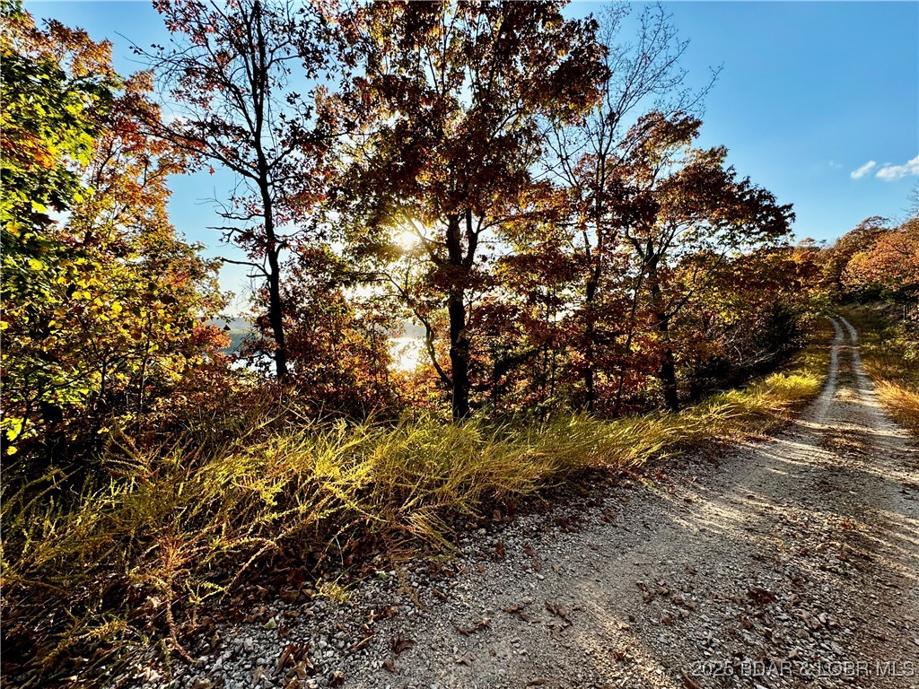 Lake Horizons - Land
