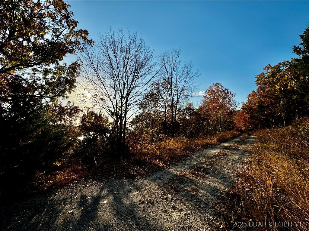 Lake Horizons - Land