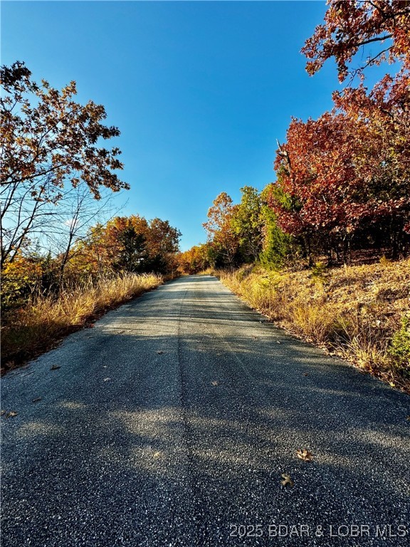 Lake Horizons - Land