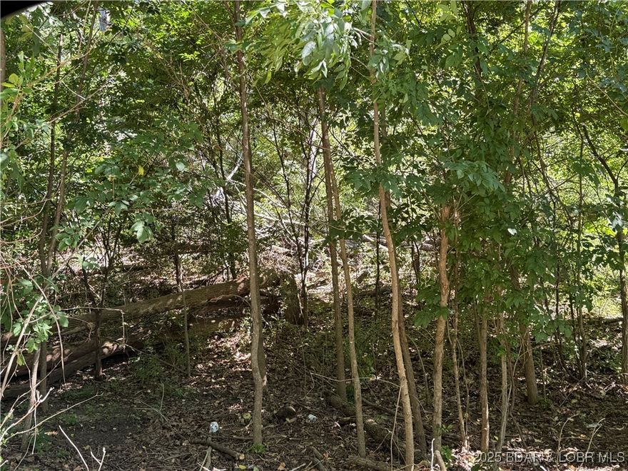 3 Acres – Build Your Dream Home in Camdenton, MO! Nestled in the heart of a beautiful resort area, this 3-acre parcel offers the perfect opportunity to build your custom single-family home. Enjoy privacy, peaceful surroundings, and convenient access to local favorites like The Cave Restaurant, Woods Grocery Store, and Tres Hombres Mexican restaurant. Located just minutes from the Lake of the Ozarks and all that Camdenton has to offer—this is a rare find for nature lovers, vacationers, or year-round living. Utilities nearby. Don’t miss your chance to own land in this desirable location! Need additional acreage? Lot 2, an additional 3-acre tract is available for $30k. It adjoins this property...why settle for 3 when you can own 6? Survey was recently finished and recorded as Lot 2 & Lot 4 BootRock Woods Subdivision.