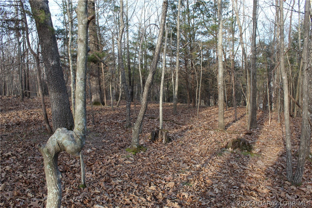 Country Life Acres - Land