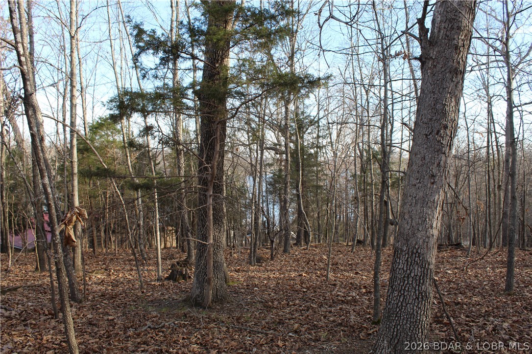 Country Life Acres - Land