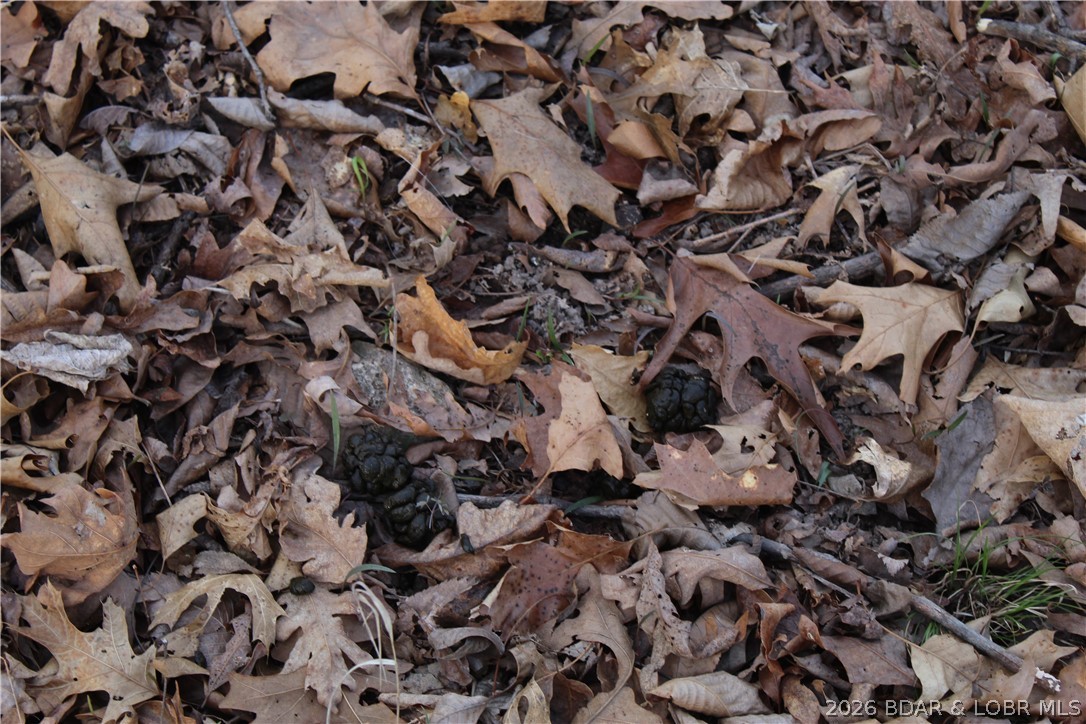 Country Life Acres - Land