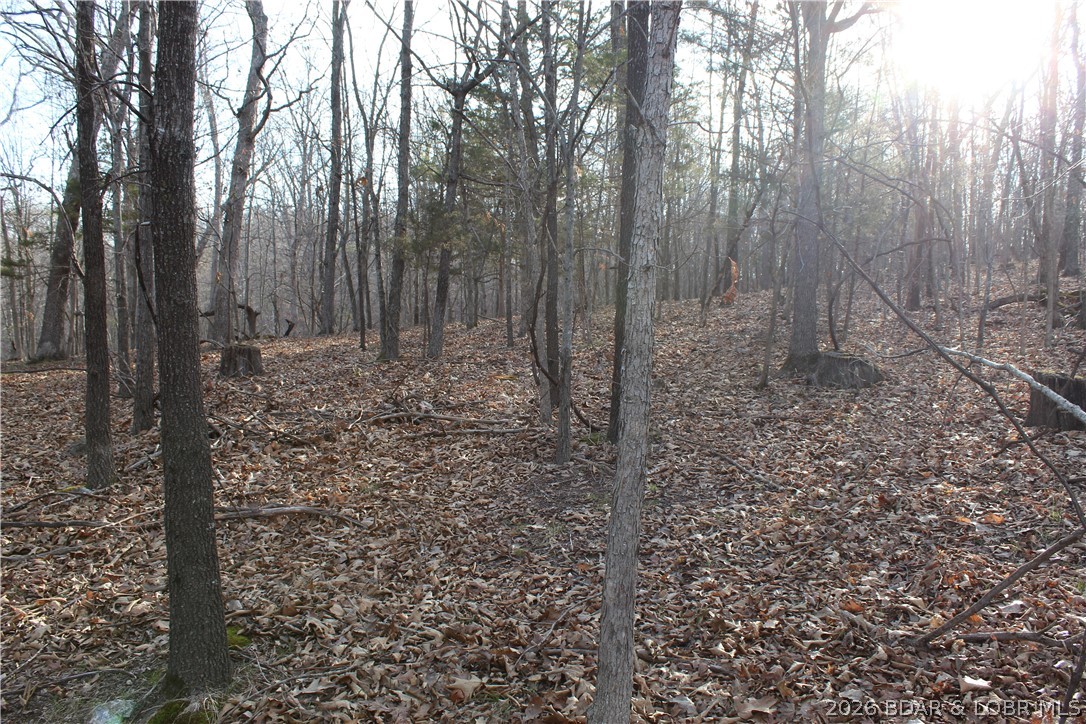 Country Life Acres - Land