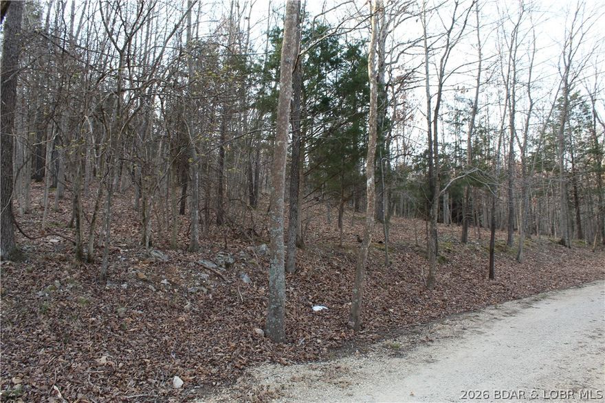 Nice building lot overlooking Gladstone Cove. Property lays nice with a flatter area at the top of the property which could enable year-long lake views with selective cutting of trees. Community sewer and water enables lower building costs for your Lake of the Ozarks dream home!