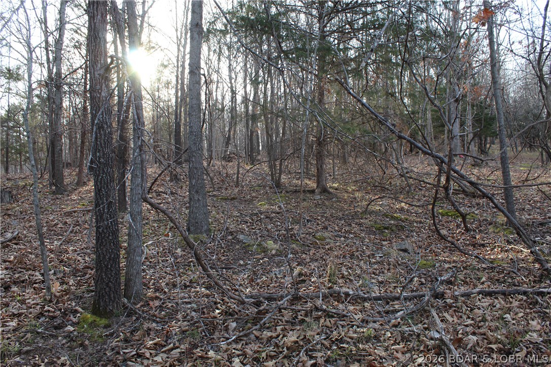 Country Life Acres - Land