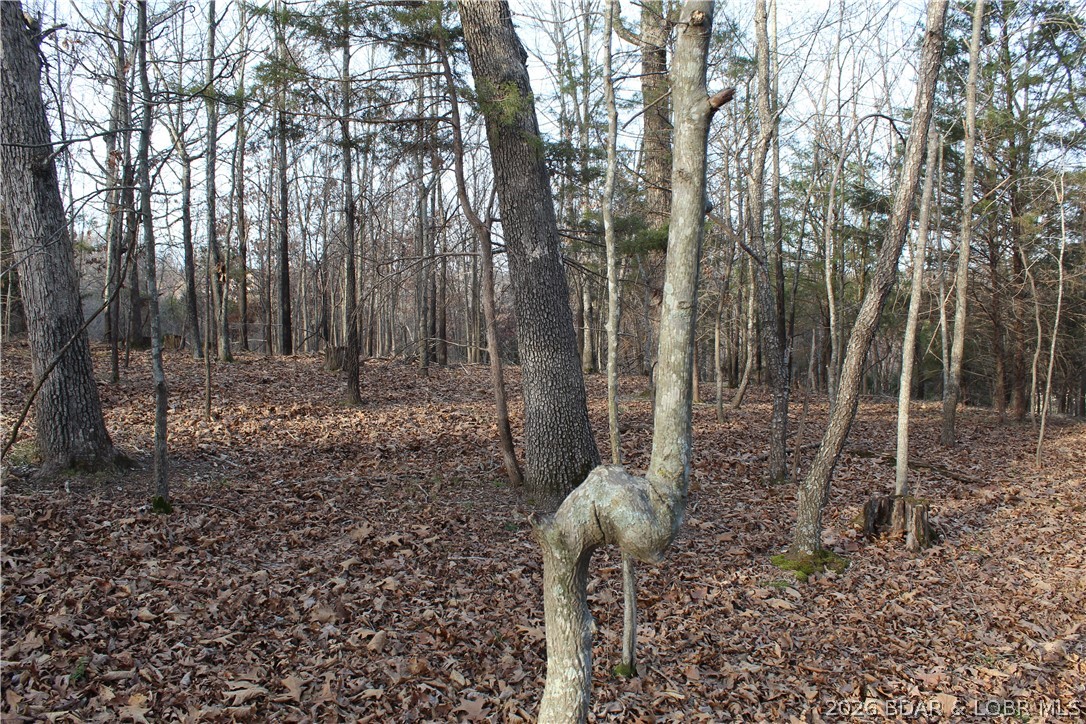 Country Life Acres - Land